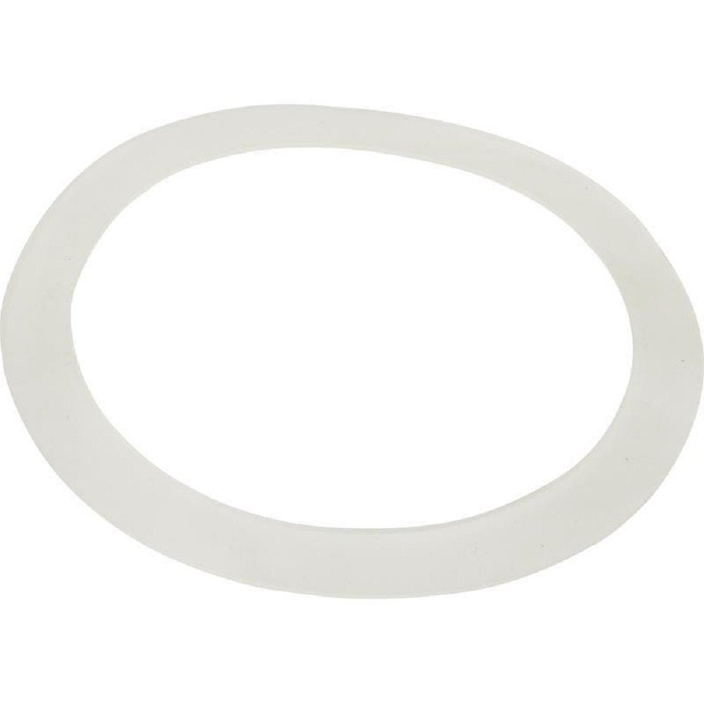 Waterway Plastics 711-7300 Gasket for Old Faithful Jets Flat 1-Pack