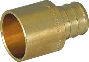 4157575.jpg
