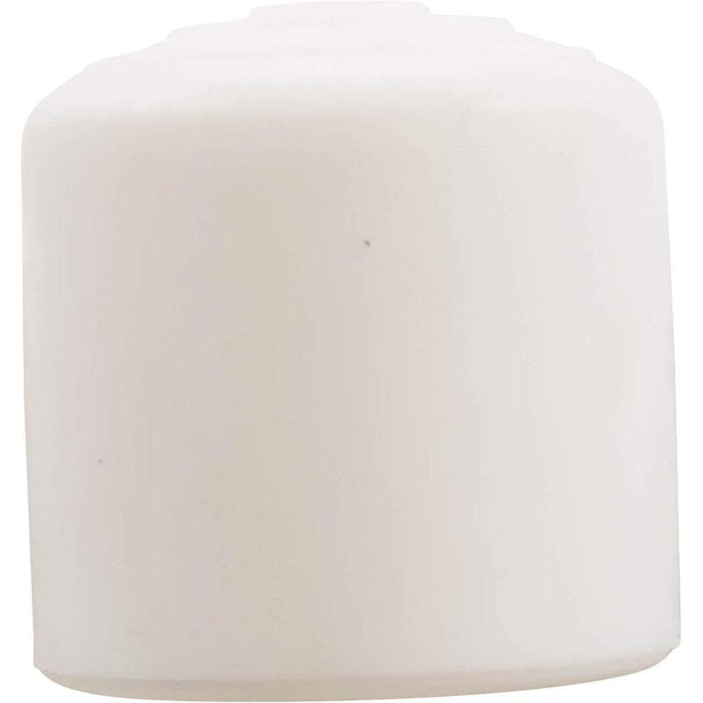 Pentair R22007 Rainbow 1.25 Inch Pole Cap