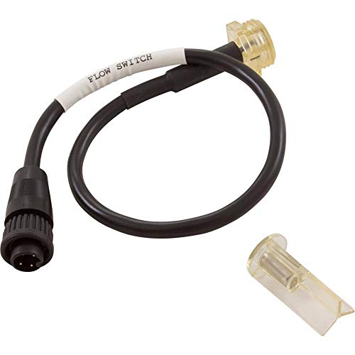 Hayward CAX-20206 Float Style Flow Sensor | CAT Controllers