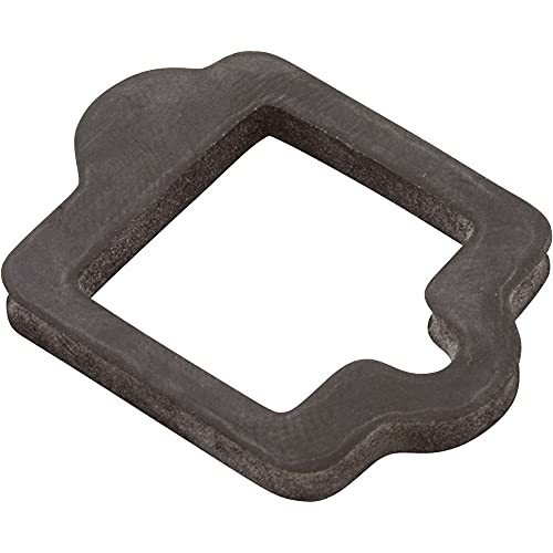 Pentair 350108 IntelliFlo Drive Gasket for Variable Speed Pumps