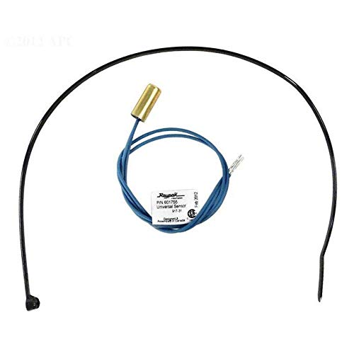 Raypak 010787F Water Sensor