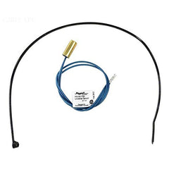 Raypak 010787F Water Sensor