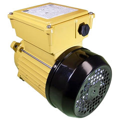 Hayward SPX2607Z1MTG Motor 1.0 HP TEFC