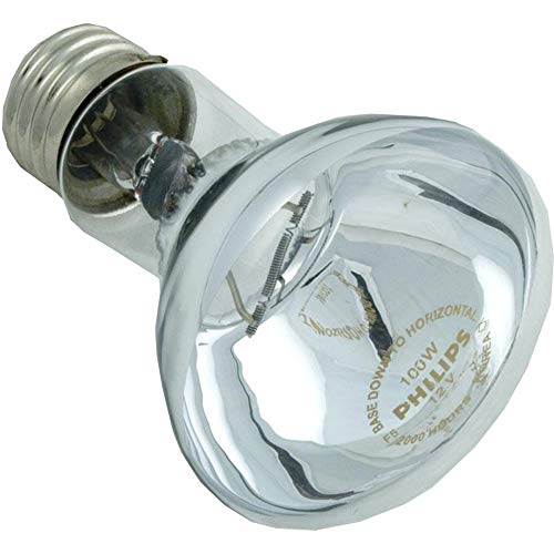 Hayward SPX0550Z4 Replacement Bulb 12v 100w Astrolite II