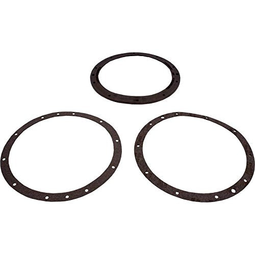 Pentair 79200700 Gasket Set