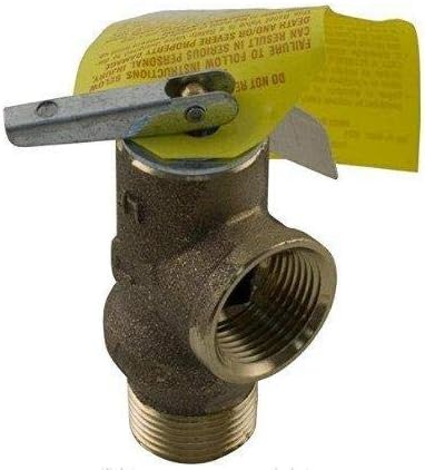 Raypak 008091F Pressure Relief Valve 125 PSI