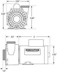 Waterway Plastics 3721621-1D 4 hp 230V 2-Speed Waterway Spa Pump Side Discharge 2x2 56 Frame Executive