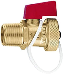 Caleffi 538202 FD Drain Valve 1/4-Inch Garden Hose with Cap