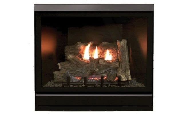 Empire Comfort Systems DVCD42FP31P Tahoe Clean Face Direct Vent Gas Fireplace LP