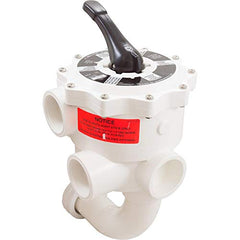 Pentair 18201-0300 Multiport Valve 2-Inch ABS with Unions