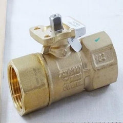 Johnson Controls VG1245CN+9A4AGA Two-Way Stainless Steel Ball Valve 24V