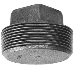 Anvil 318901485 Malleable Iron Square Head Plug Class 150