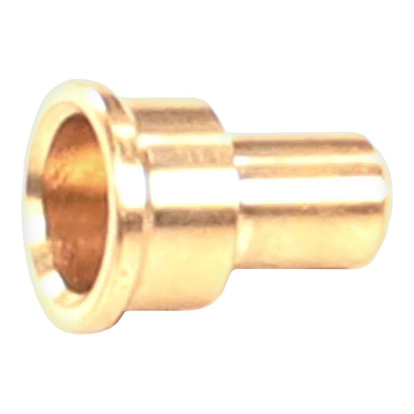 ELECTROLUX PROFESSIONAL Electrolux Professional 0C9891 Pilot Burner Nozzle (Dia 0.29 / 1 Each) 0C9891
