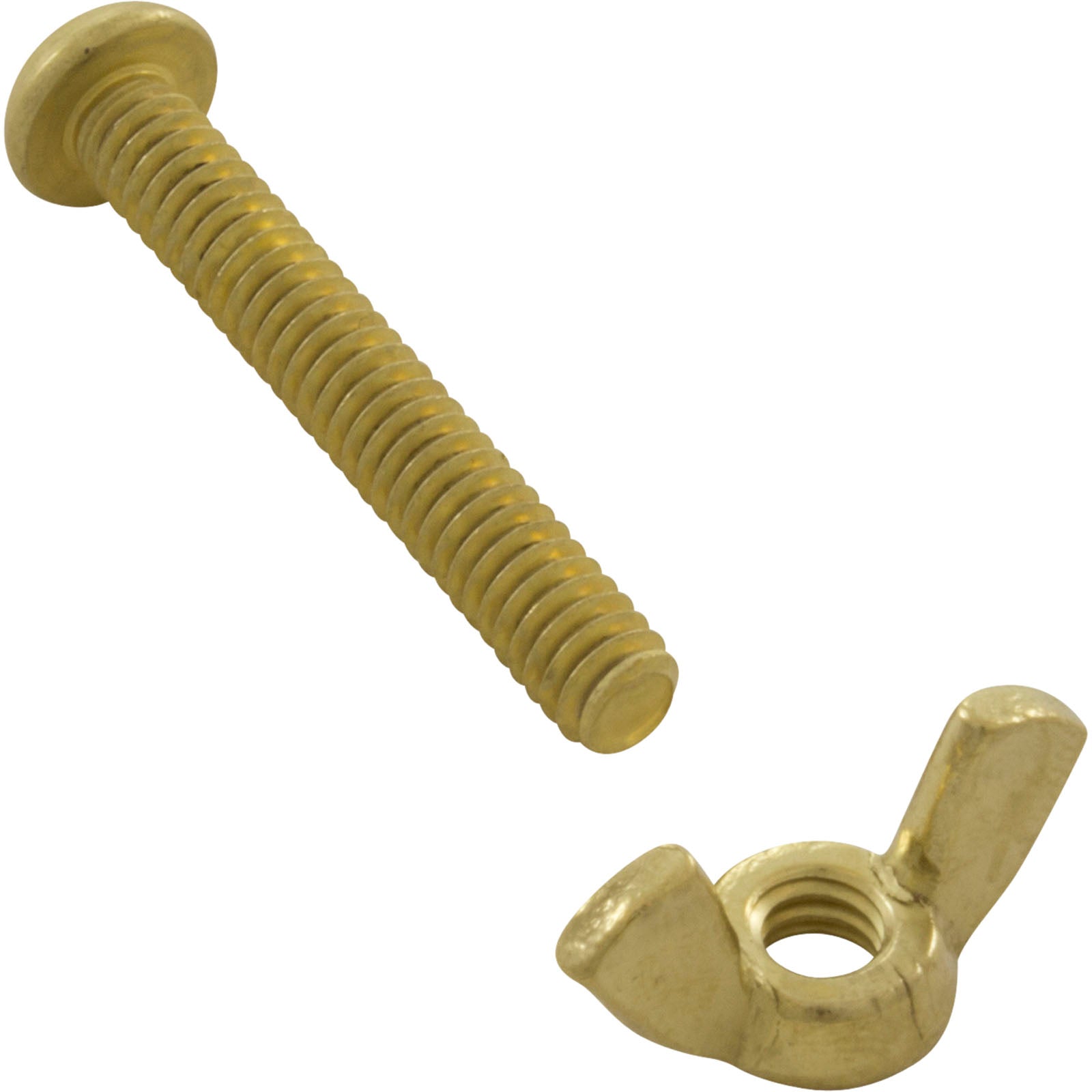 Pentair R221156 Brass Wing Bolt and Nut for Pool Maintenance