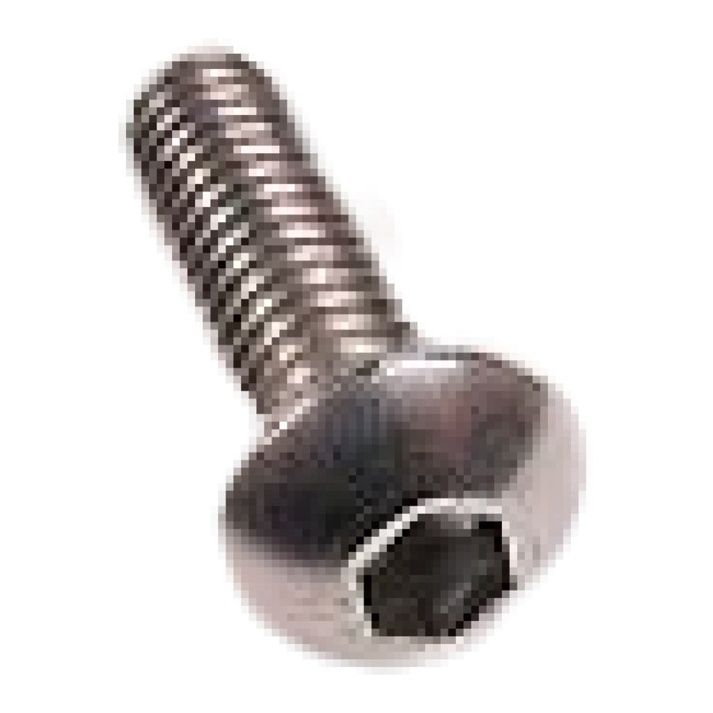 ARIENS Ariens 05901840 Button Head Screw 5/16 in x 1 in (Replacement 05901508)