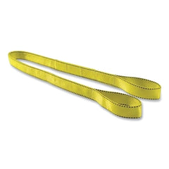 Liftex EE291X4ND Pro-Edge Web Sling, Nylon, 1 in W x 4 ft L, 2-Ply