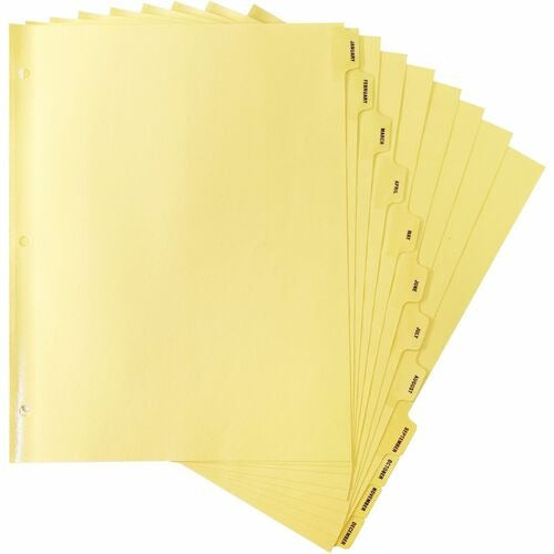 BUSINESS SOURCE Business Source BSN01807 Monthly Index Dividers