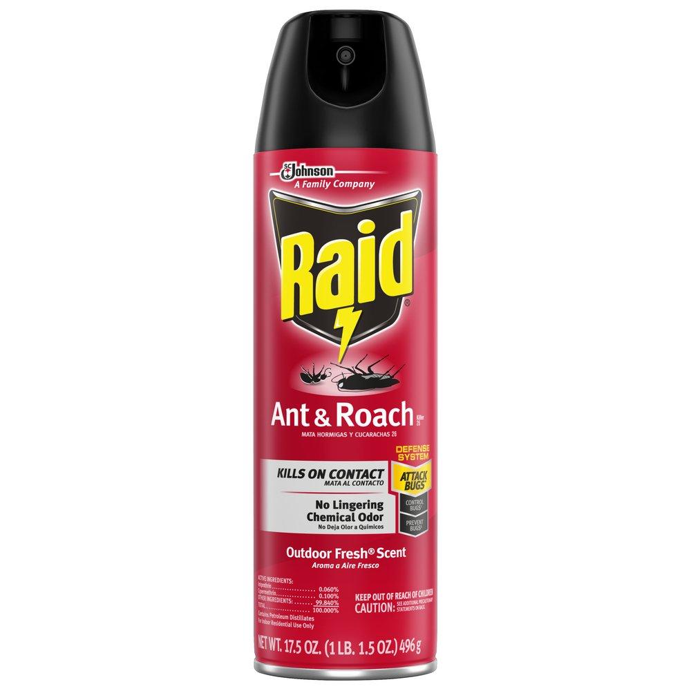 Raid 669798 Ant and Roach Killer 17.5 oz (Case of 12)