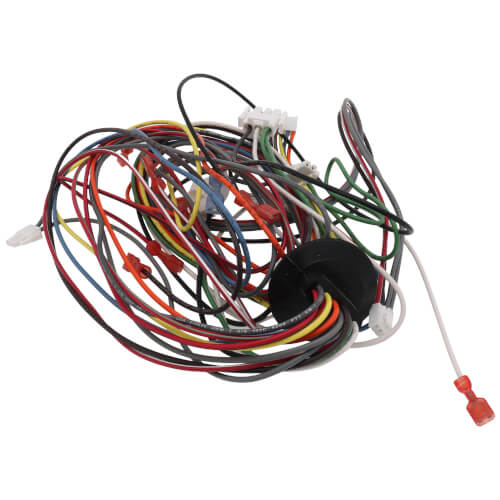 Rheem-Ruud 45-104090-01 Wiring Harness Assembly