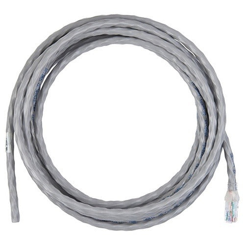 BELDEN Belden Inc. CA31208035 Cat6 Cmr Pigtail 35 Ft Gray