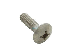 Hayward SPX0555Z2 Hayward StarLite/PVC Niche Lower Mounting Screw | SPX0555Z2