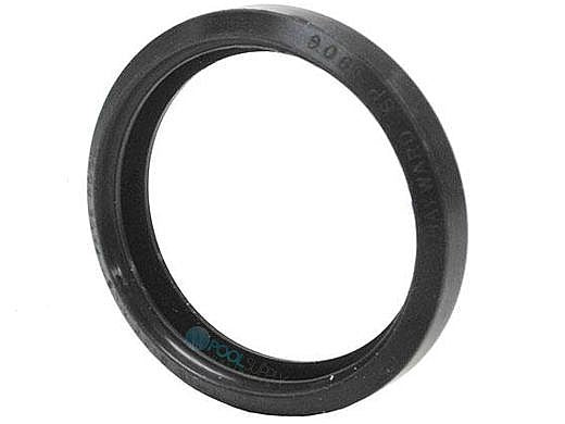 Hayward SPX0590G AstroLite II Lens Gasket