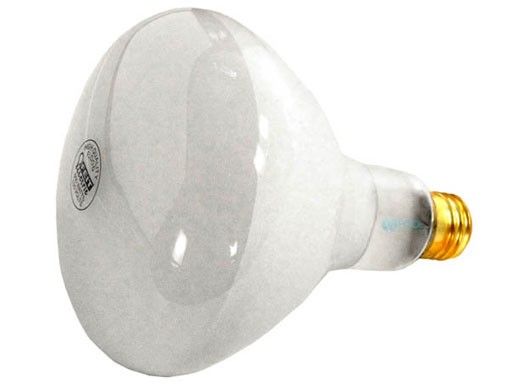 Hayward SPX0504Z7 Replacement Bulb | 500W 120V R-40 Medium Base