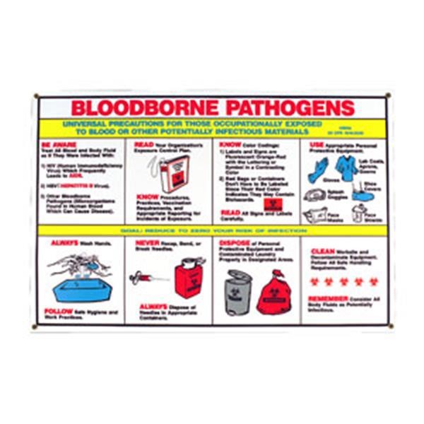 Brady 45849 Biohazard Safety Poster 1 Each