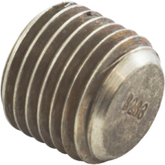 Raypak 501329 Header Plug