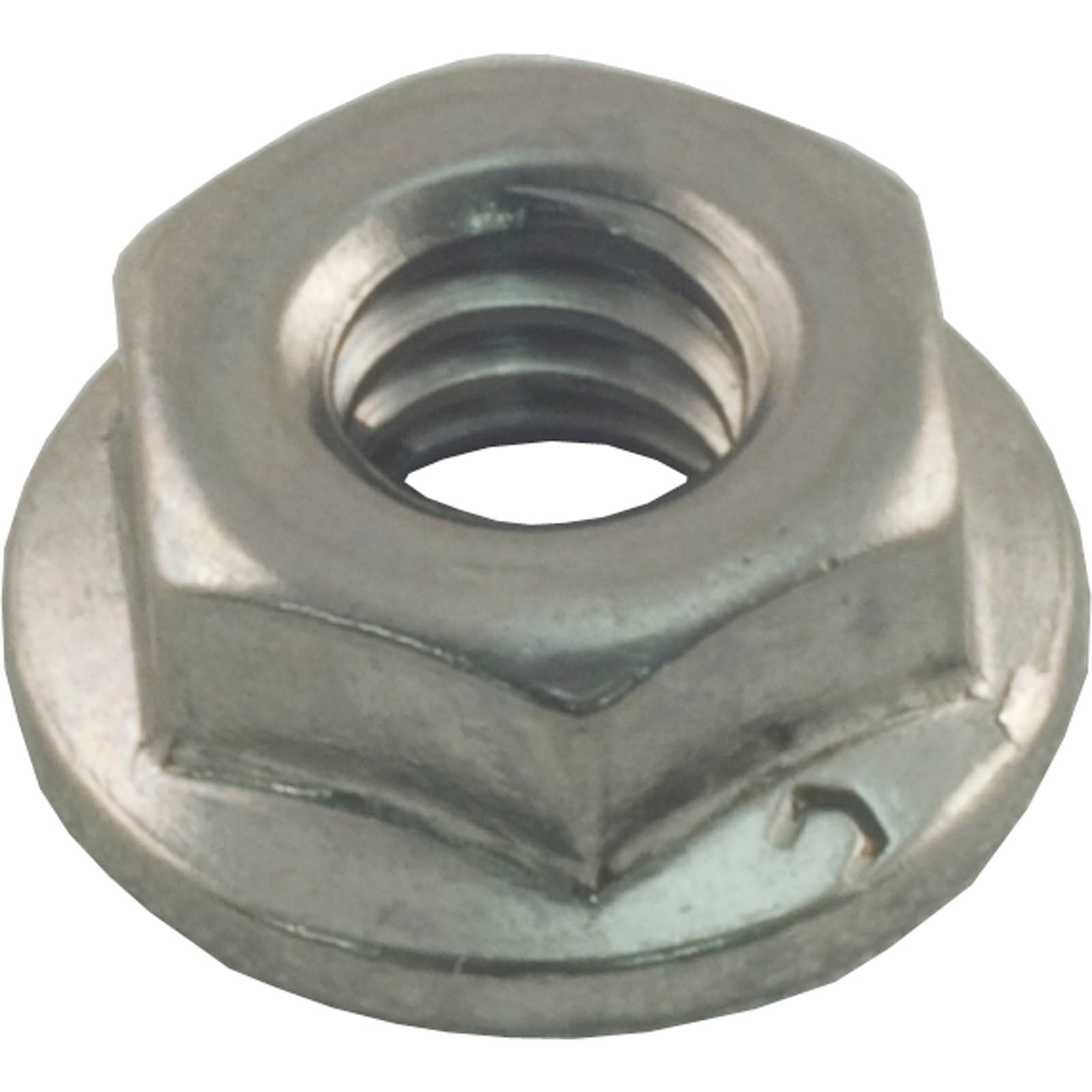 Raypak 008259F Flange Nut Kit 0.25-20in