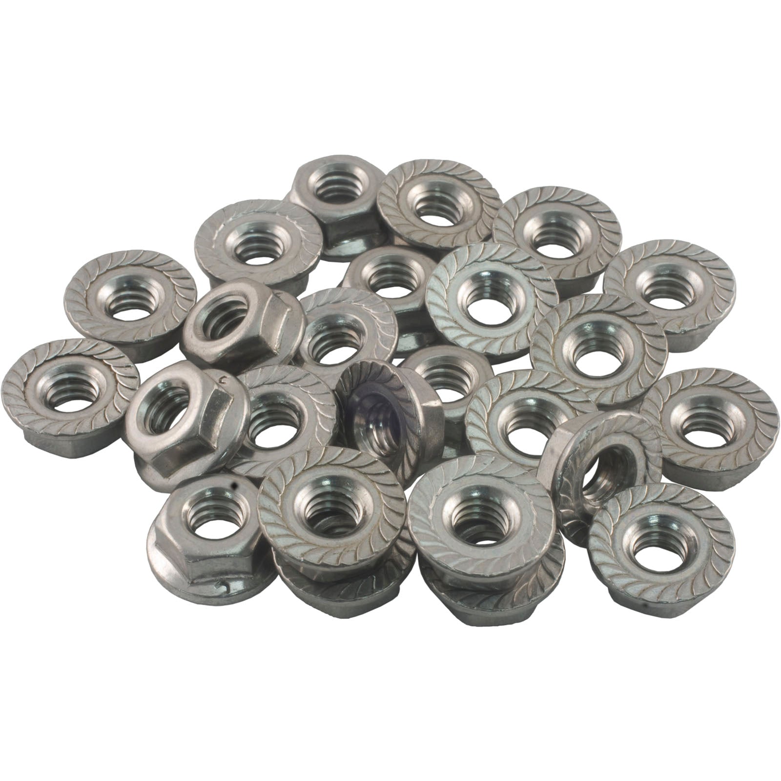 Raypak 008259F Flange Nut Kit 0.25-20in