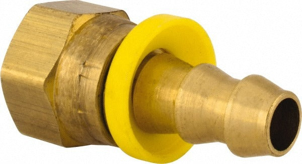 DIXON VALVE & COUPLING Dixon Valve Coupling 2800606C Female Hose Connector Brass