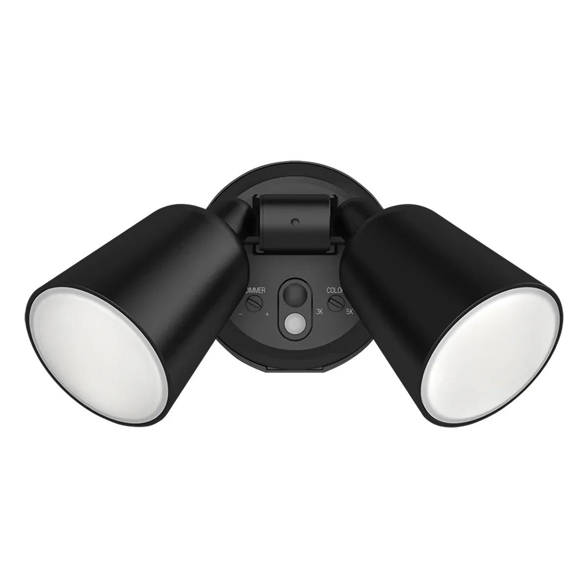 RAB LIGHTING Rab Lighting L2XB Luminator 20W Floodlight (120V)