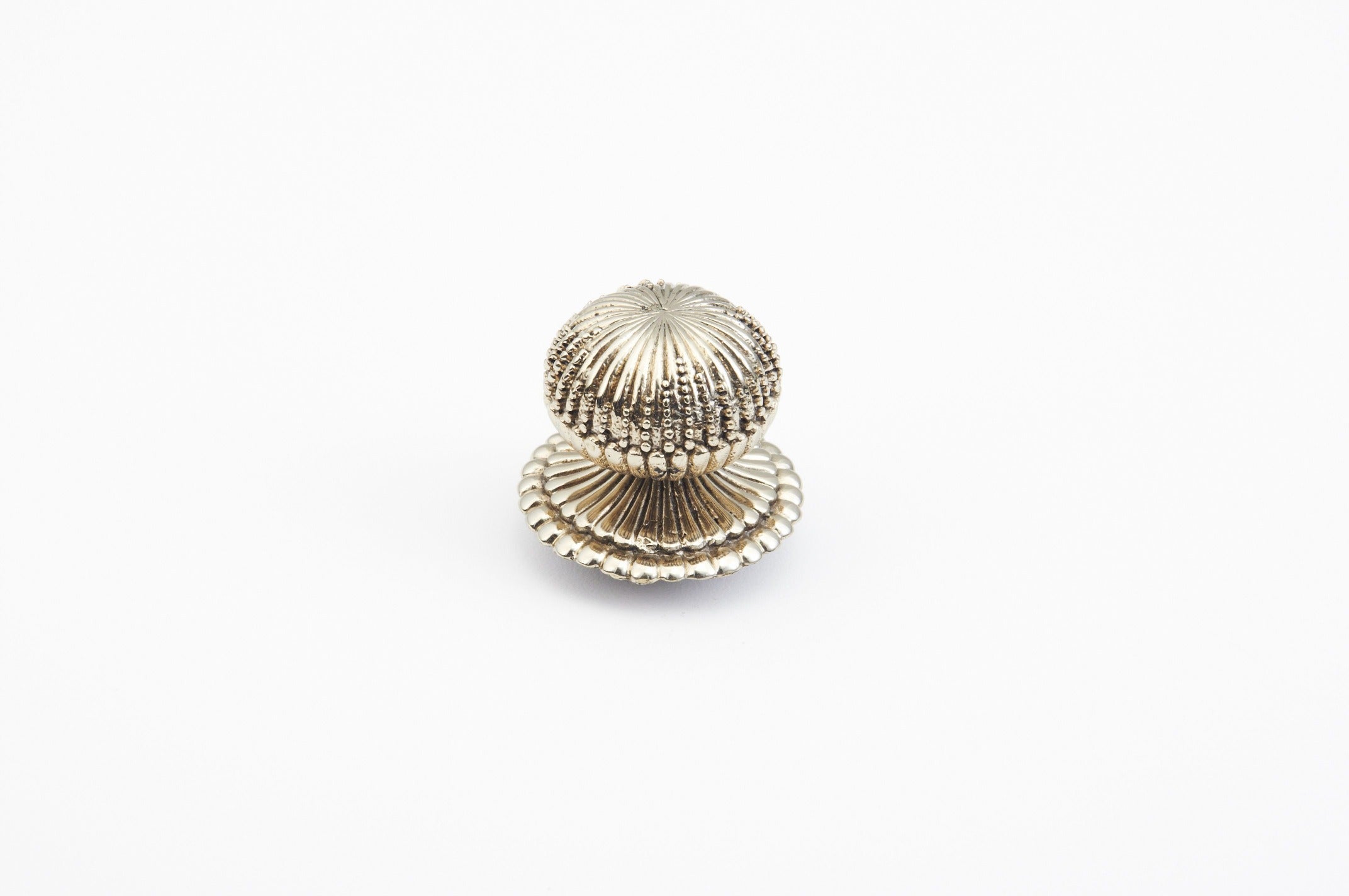 SCHAUB Schaub 969M-WB Cabinet Knob White Brass Finish