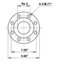 Grundfos 579801 4 in. Cast Iron Flange Set