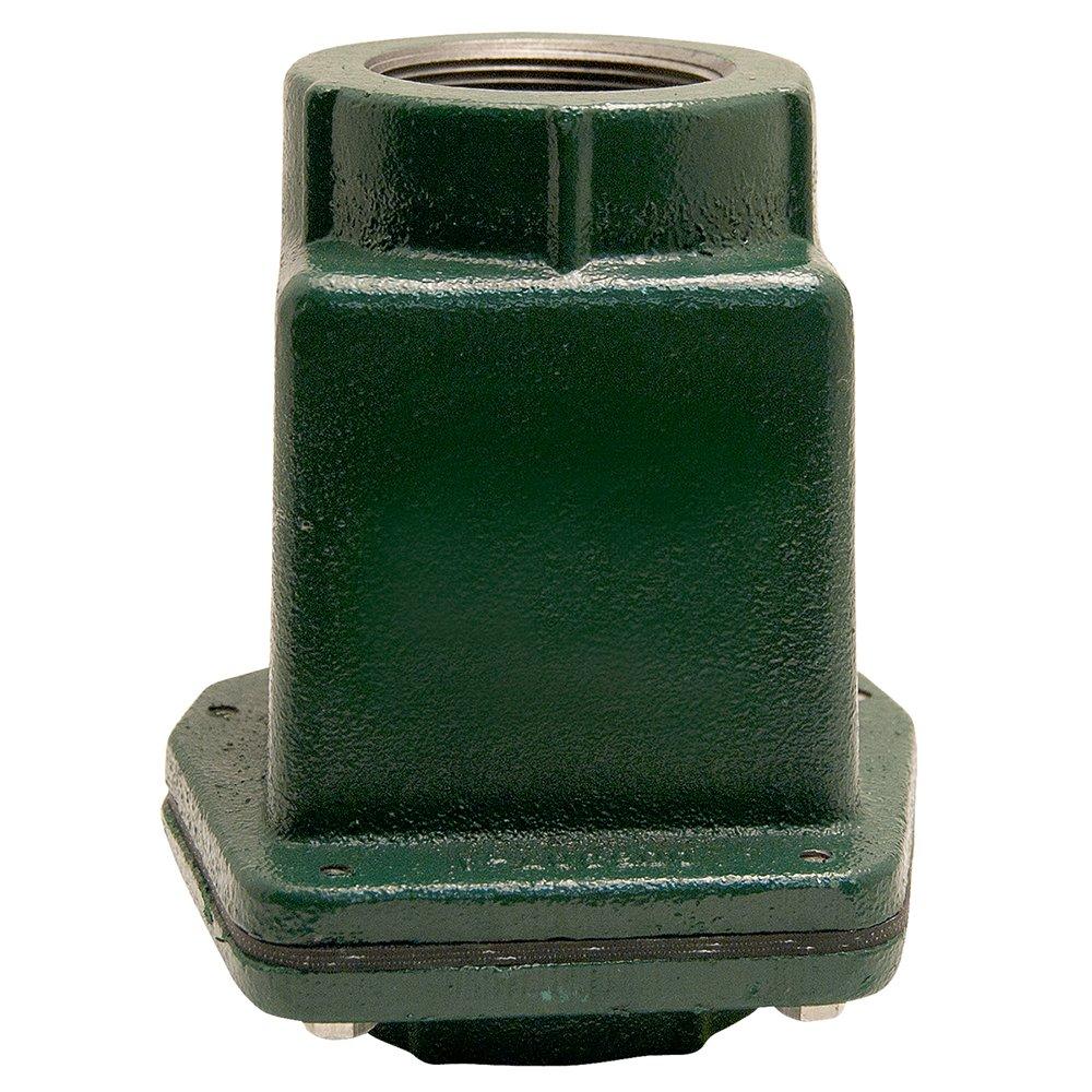 Zoeller 30-0152 2 in. FNPT Cast Iron Check Valve