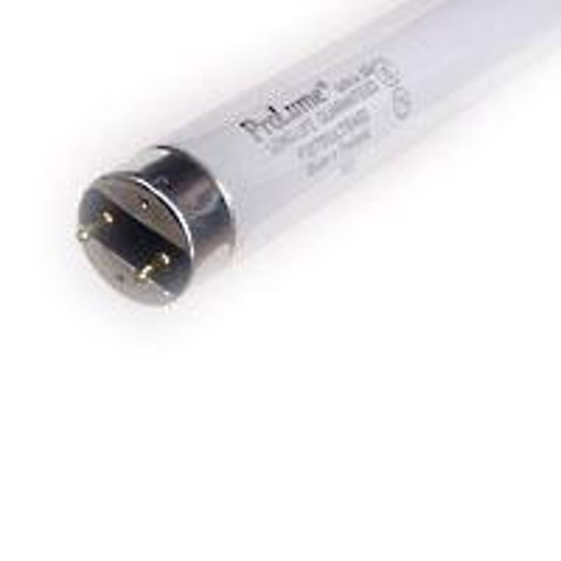 HALCO LIGHTING Halco Lighting 109404 F32T8/850 ECO 32W (25PK)