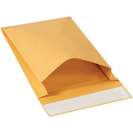 BSC PREFERRED Bsc Preferred EN1072 Self-seal Envelopes 250 Per Case