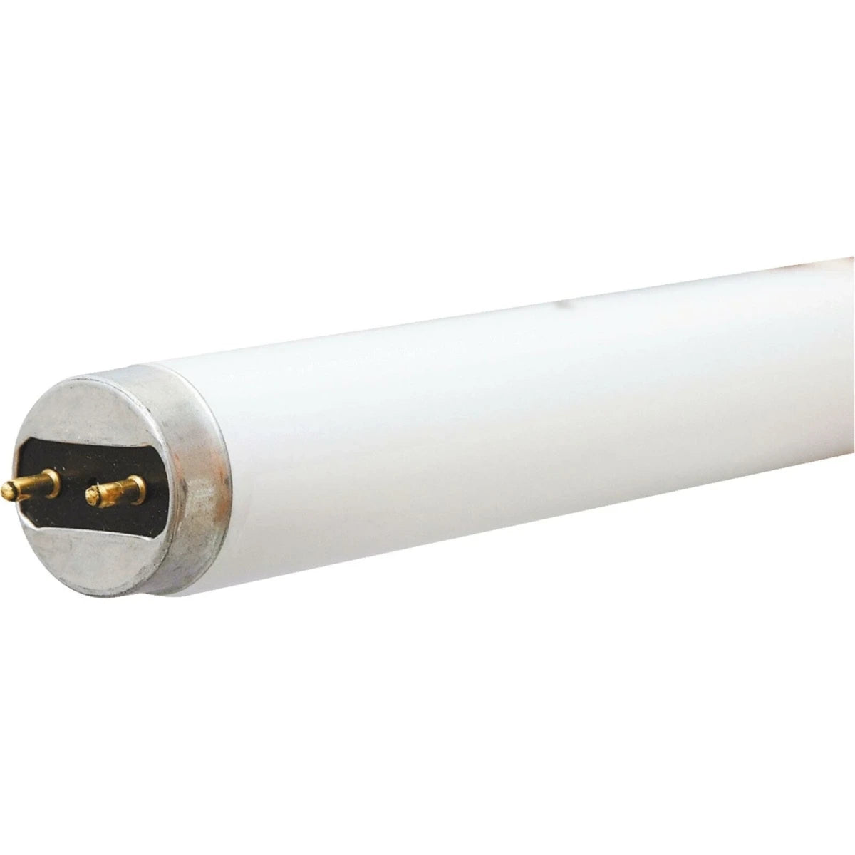 PHILIPS Philips 543363 Alto T8 Fluorescent Tube 17W (24 in. / Pack of 12)
