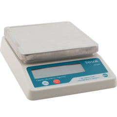 5 3/8 Square Inch Portion Scale TE32FT for Taylor Thermometer TAYTE32FT