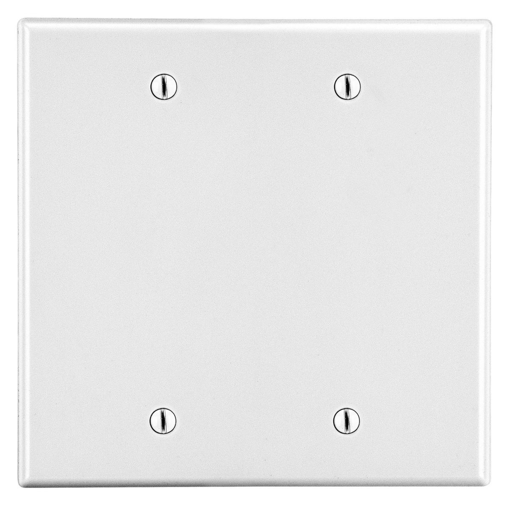 Hubbell P23W Wallplate 2-Gang Blank Wallplate Box Mount - White