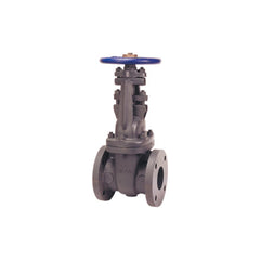 Nibco NHA300J F-617-O 5 in. Cast Iron Full Port Flanged Gate Valve