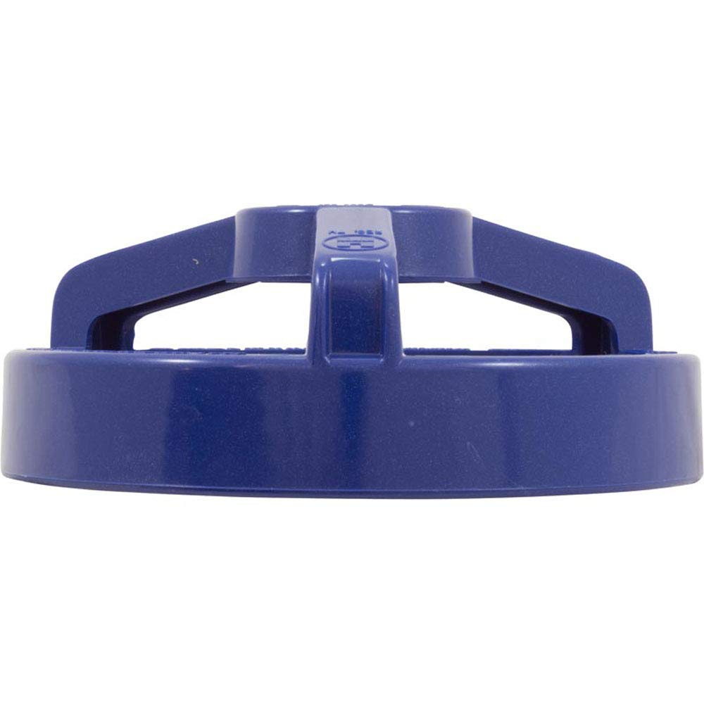 Hayward AXW532BL Leaf Canister Lock Ring - Blue