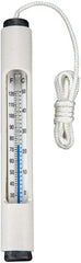 Pentair R141046 Indoor/Outdoor Tube Thermometer