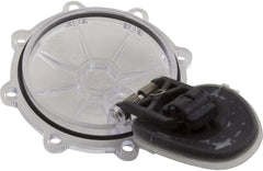 Pentair 263042Z 2-Inch 2-Way Check Valve Replacement Kit Diverter Pool and Spa Valve