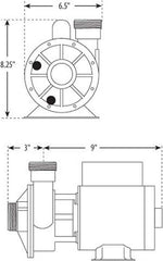 Waterway Plastics 3410030-1E Iron Might Pond Pump 115V