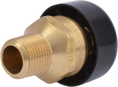 Cash Acme 22397-0000LF VR-801 Vacuum Relief Valve Vent with Dust Cover, 0.5 Inch