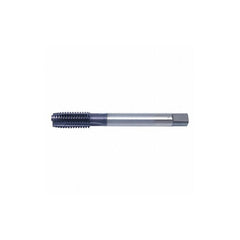 Cleveland C96114 Spiral Point Tap Right Hand 1/4-20 UNC Plug 3 Flutes