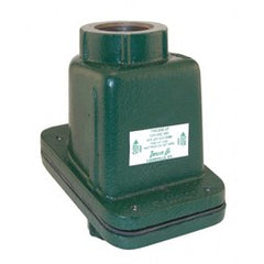 Zoeller 30-0152 2 in. FNPT Cast Iron Check Valve